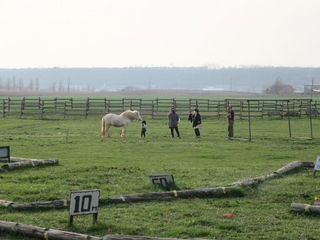 1-110.jpg