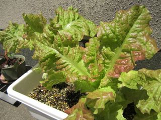 1-159.jpg