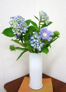 hana19.jpg
